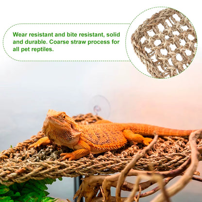 Reptile Hammock Terrarium Decoration for Lizard Lounger Small Hermit Crabs Geckos Bed Birds Reptile Mats Pets Supplies